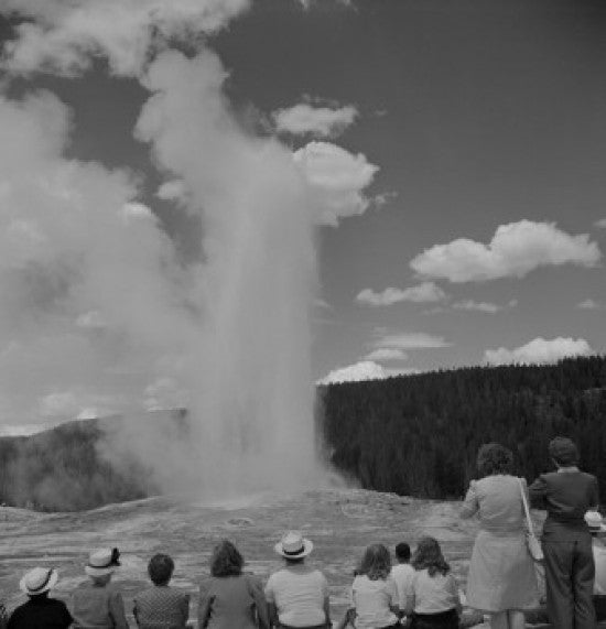 Old Faithful Geyser Poster Print - Yellowstone National Park