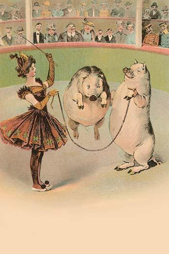 Circus Pig Jumping Rope Fine Art Print | Unknown Artist