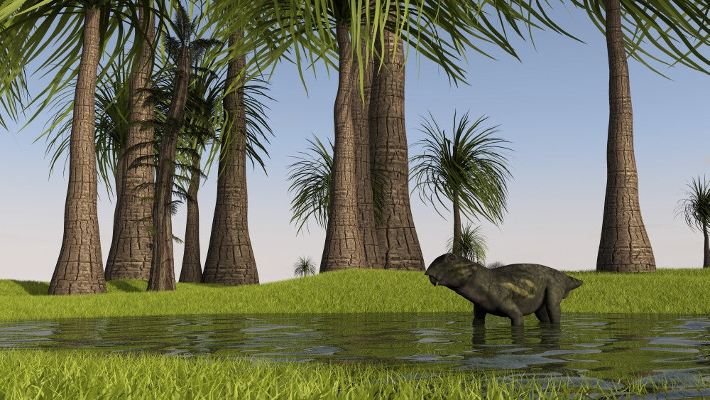 Lystrosaurus in Shallow Water Fine Art Print