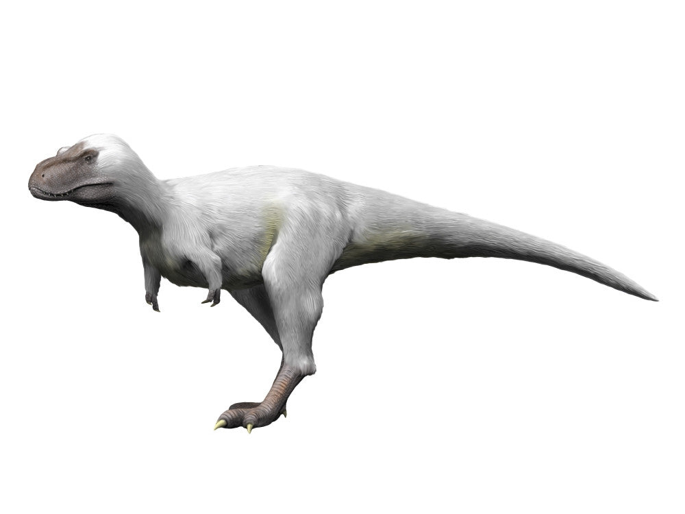 Nanuqsaurus Fine Art Print - Late Cretaceous Theropod from Alaska