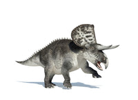3D Zuniceratops Dinosaur Fine Art Print - Perfect for Any Space