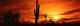 Sonoran Desert Sunset Arizona Photo Print by Panoramic Images (38x12)