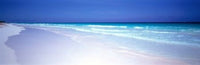 Pink Sand Beach Poster Print by Panoramic Images - 37x12