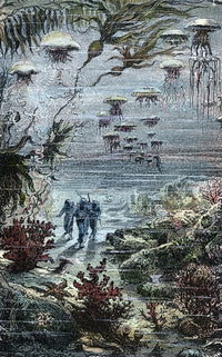 A Walk Under The Waters Fine Art Print - Captain Nemo's Ocean Adventure