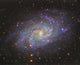 The Triangulum Galaxy Fine Art Print by Roberto Colombari