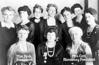 National League of Women Voters 1920 Poster Print by Science Source