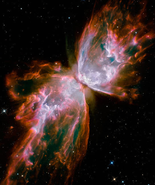 The Butterfly Nebula Fine Art Print by Stocktrek Images