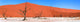 Namib Desert Art Print by Carson Ganci | Posterazzi