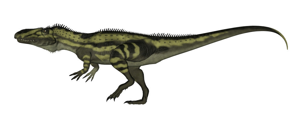 Torvosaurus Dinosaur Walking Poster Print by Elena Duvernay