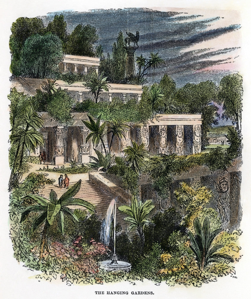 Babylon: The Hanging Gardens 19th Century Wood Engraving Fine Art Print by Granger Collection