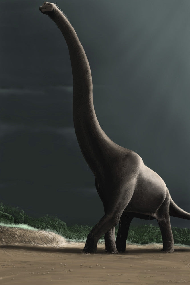 Brachiosaurus in a Prehistoric Landscape Fine Art Print