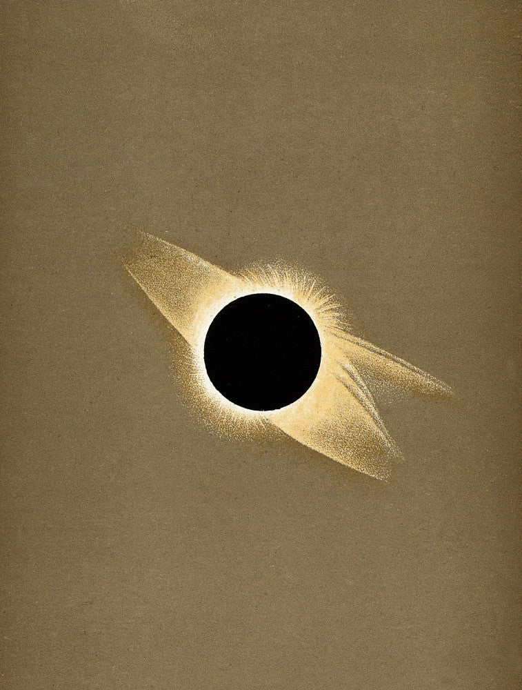 Corona of the Sun during Total Eclipse, 1878 Fine Art Print by Science Source