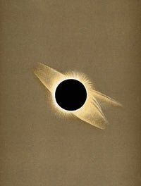 Corona of the Sun during Total Eclipse, 1878 Fine Art Print by Science Source