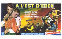 East of Eden Movie Poster - 17x11 | Posterazzi