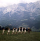 The Sound Of Music Photo Print - Premium Quality Art Print