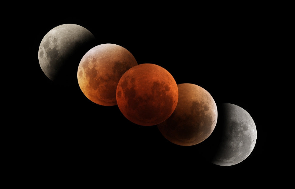 Composite Image of Lunar Eclipse from Greens Lake, Australia Poster Print