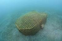 Bamboo Fish Trap Fine Art Print - Lembeh Strait, Indonesia by VWPics