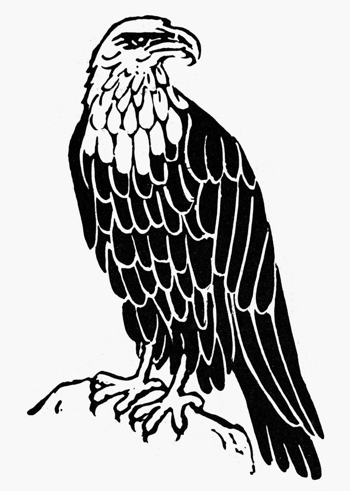 Bald Eagle American Symbol Fine Art Print by Granger Collection