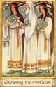 The Origin of Christmas Customs - Druids Gathering Mistletoe Fine Art Print by Hilary Jane Morgan