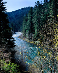 North Umpqua River Fine Art Print by Panoramic Images