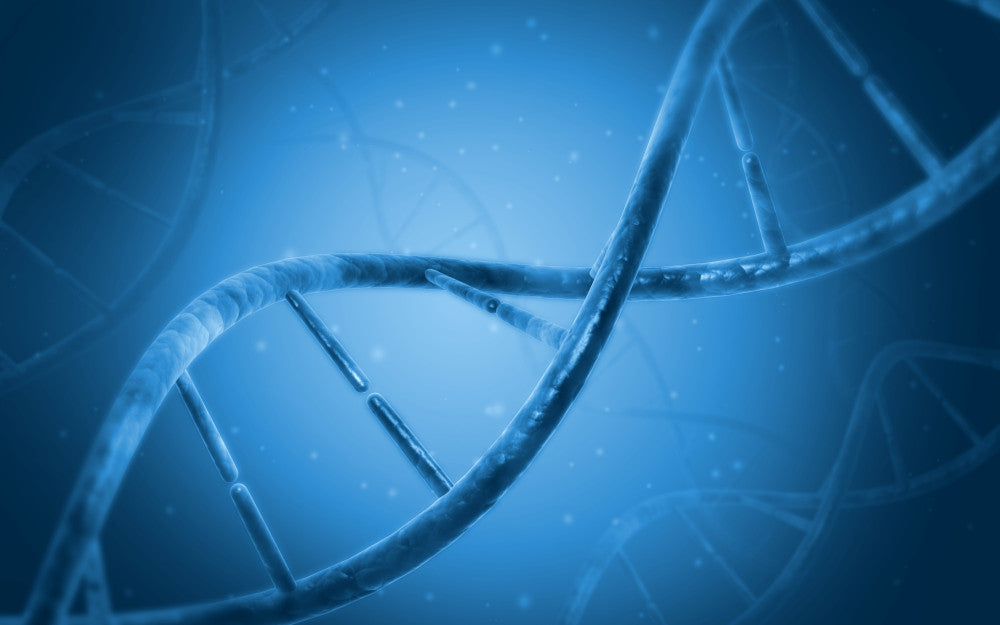 Conceptual DNA Art Print - Fine Art Poster by StockTrek Images