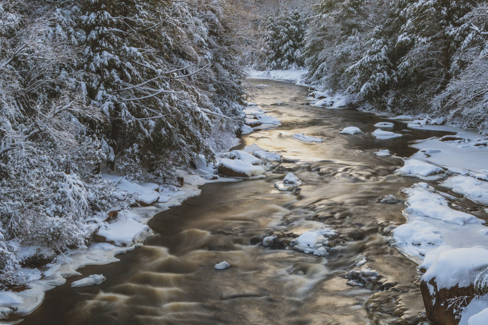 Blackwater Falls State Park Winter Scene Fine Art Print by Jaynes Gallery
