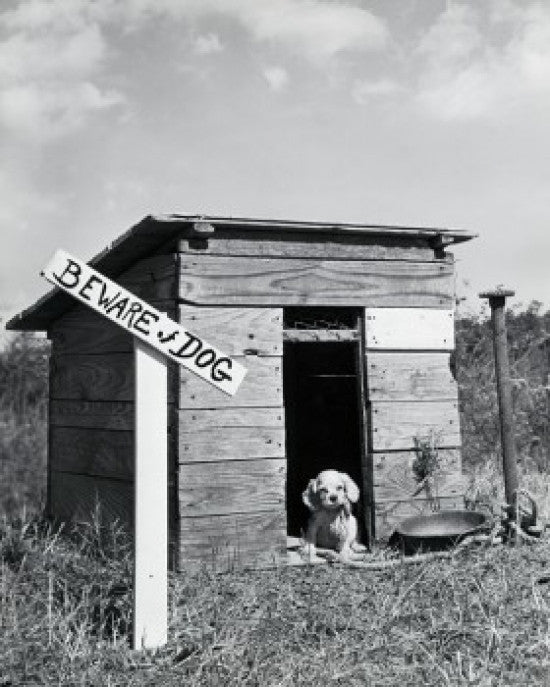 Puppy in a Dog House Fine Art Print - Multiple Sizes Available