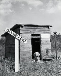 Puppy in a Dog House Fine Art Print - Multiple Sizes Available