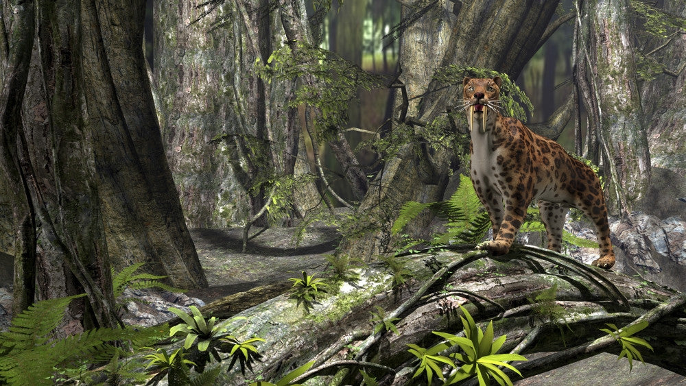 Saber-Toothed Tiger Fine Art Print in Prehistoric Forest