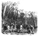 Francis Marion American Revolutionary War Fine Art Print
