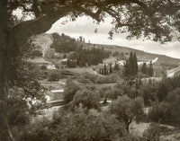 Mount of Olives and Garden of Gethsemane Photograph Print
