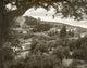 Mount of Olives and Garden of Gethsemane Photograph Print