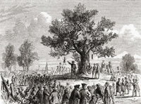 Colonists Under The Liberty Tree - Fine Art Print by Ken Welsh