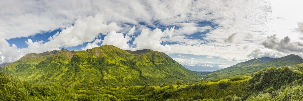 Panorama of Little Susitna Valley Fine Art Print by Kevin G. Smith