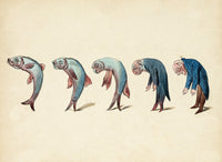 Evolution of Fish into Old Man Fine Art Print by Science Source