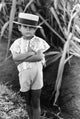 Puerto Rico: Farm Boy Along the Road - Fine Art Print by Jack Delano