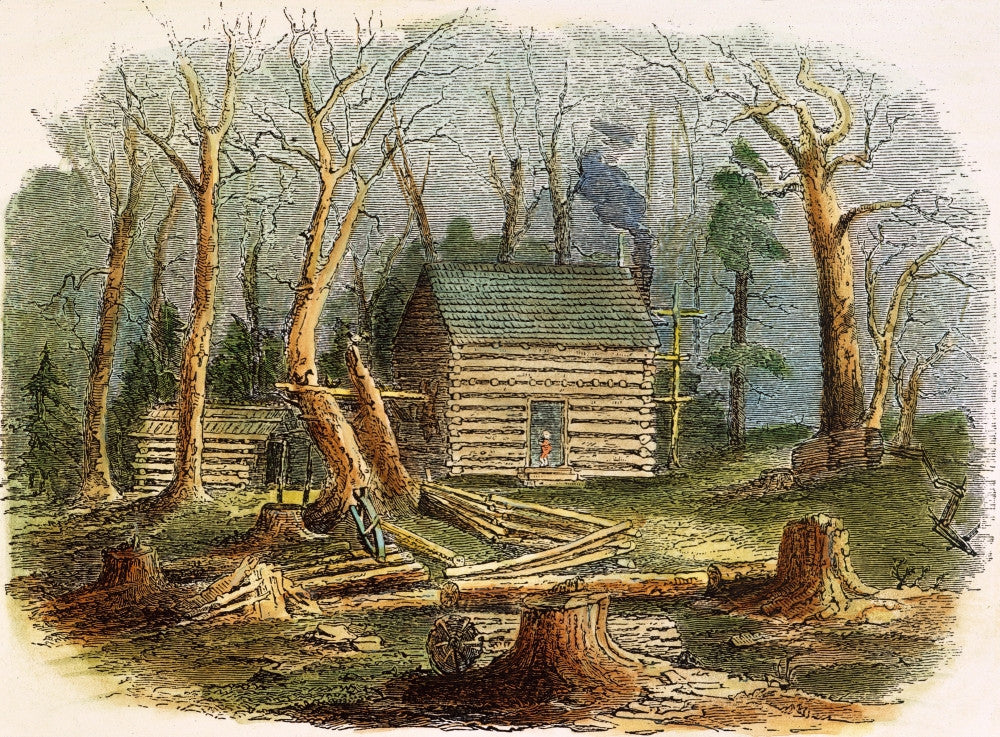 N.C. Log Cabin Fine Art Print - Colored Engraving, 1857