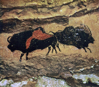 Cave Art: Bison from Lascaux, Dordogne - Fine Art Print