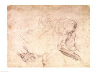 Studies of Hands and an Arm Fine Art Print by Michelangelo Buonarroti