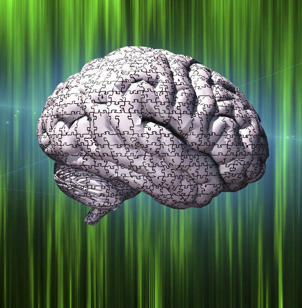 Human Brain Puzzle Artwork on Green Background by Bruce Rolff