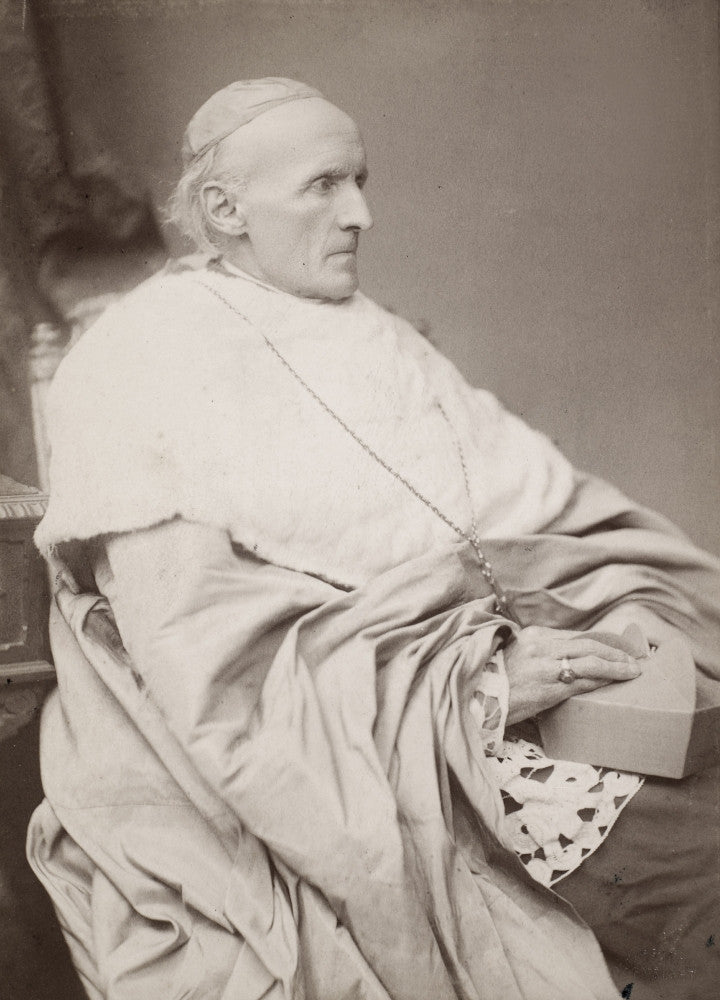Henry Edward Manning Fine Art Print - English Cardinal | Posterazzi