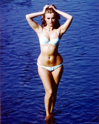 Barbara Bouchet Bikini Photo Print - Premium Quality Art