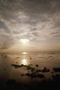 Congo River Sunset Fine Art Print by Granger Collection