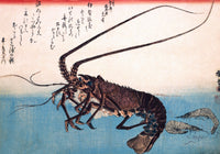 Japanese Spiny Lobster & Prawns Fine Art Print by Hiroshige