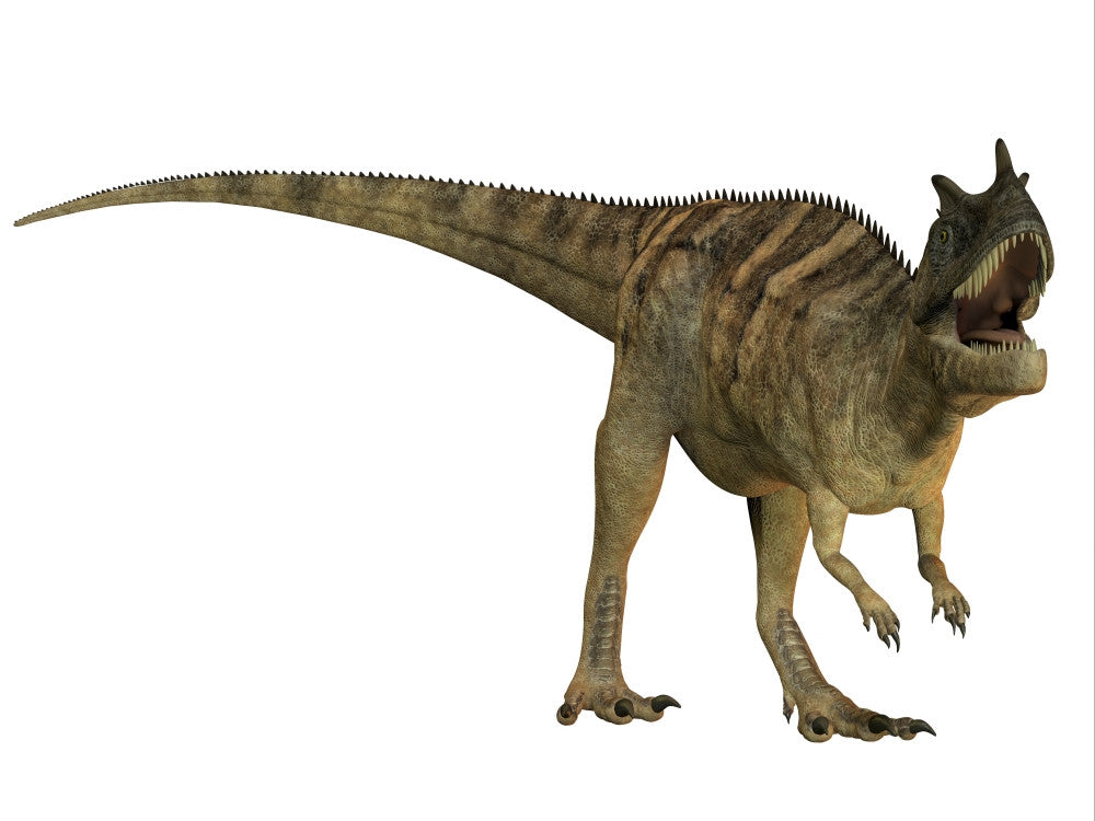 Ceratosaurus Dinosaur Fine Art Print from the Jurassic Period