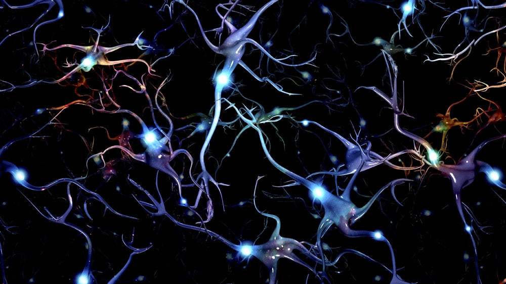 Neurons Brain Cells with Electrical Firing Fine Art Print by Bruce Rolff