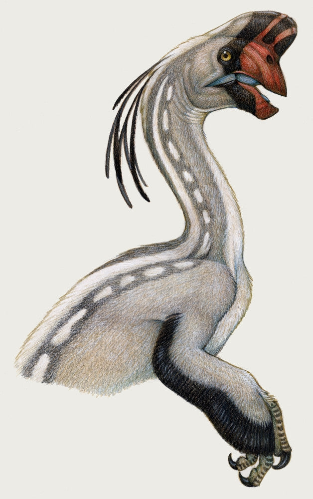 Oviraptor Fine Art Print - Cretaceous Period Dinosaur