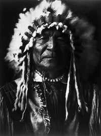 Arikara Chief Sitting Bear Fine Art Print by Edward S. Curtis