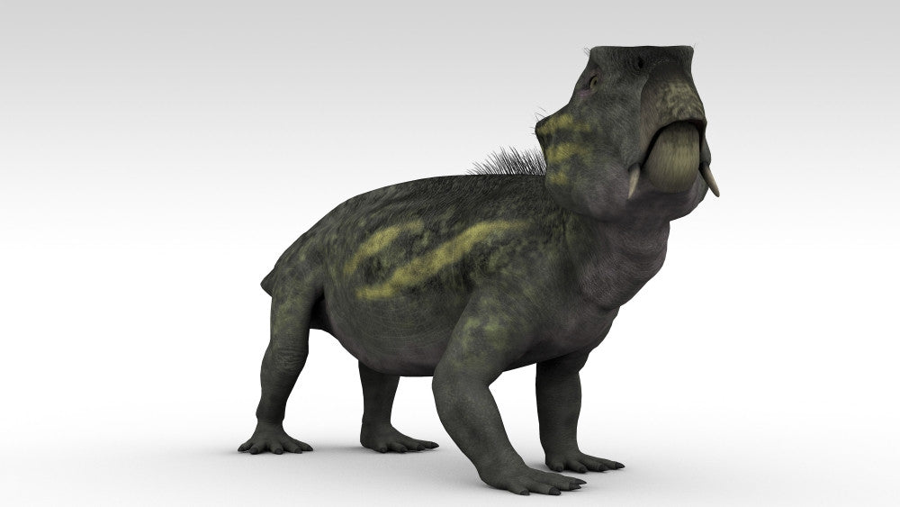 Lystrosaurus Fine Art Print - Permian Triassic Therapsid