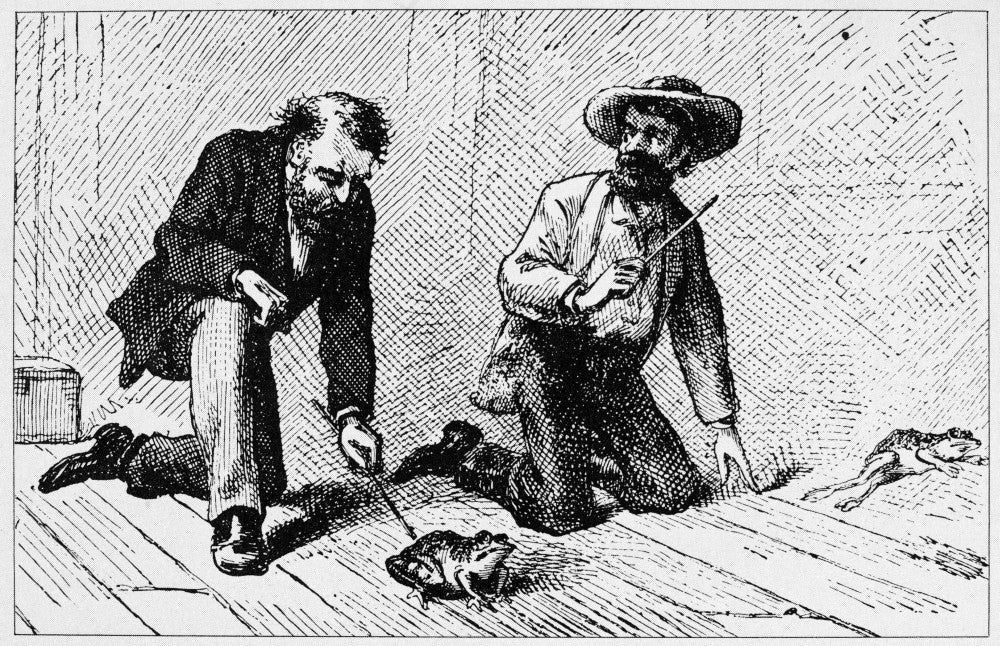 Frog of Calaveras County Fine Art Print - Mark Twain Illustration